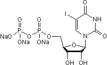 Selective P2Y6 agonist