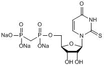 Potent and selective P2Y14 receptor agonist