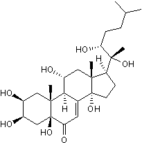 Stimulates Bcl-XL mRNA transcription; antiapoptotic