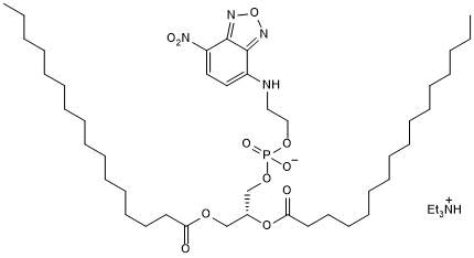 Fluorescent label for lysosomal lipid bodies