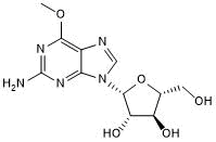 Purine nuceloside analog; inhibits DNA synthesis