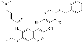 Potent HER2 receptor tyrosine kinase and EGFR kinase inhibitor