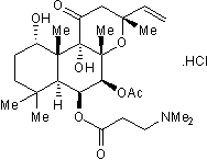 Water-soluble adenylyl cyclase activator