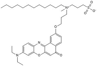 Fluorogenic lipid membrane dye