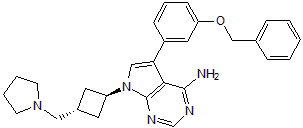 ATP-competitive inhibitor of IGF1R