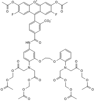 Cell-permeable, fluorescent Ca2+ indicator