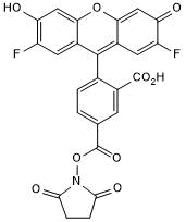 Green fluorescent dye; supplied as NHS ester