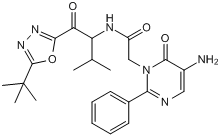 High affinity and selective human neutrophil elastase 1 (HNE1) inhibitor; orally active