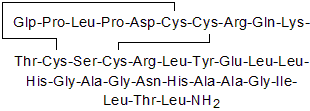 Endogenous agonist at OX1 and OX2