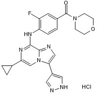 Potent and selective Brk inhibitor