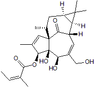 Protein kinase C activator