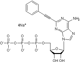 Potent GPR17 agonist