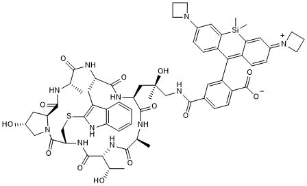 Phalloidin-Janelia Fluor® 646 | Janelia Fluor Dyes | Bio-Techne