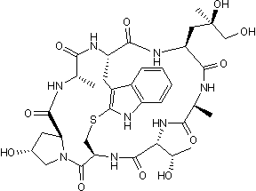 Promotes actin polymerization