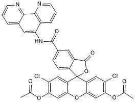 Heavy metal ion indicator, membrane permeable