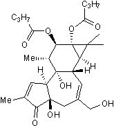 Protein kinase C activator