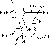 Protein kinase C activator