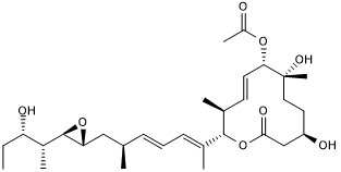 mRNA splicing inhibitor; antitumor