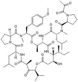 Potent protein synthesis inhibitor