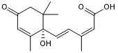 Endogenous LANCL2 agonist