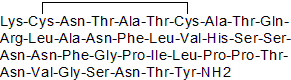 Synthetic version of  amylin (Cat. No. 3418)