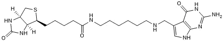 PreQ1 with biotin handle for RNA labeling and purification