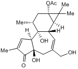 PKC activator; also NF-&#954;B activator