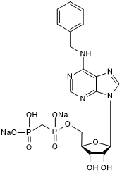 Ecto-5&#039;-nucleotidase (CD73) inhibitor