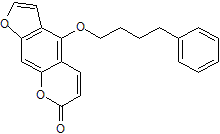 Potent KV1.3 channel blocker