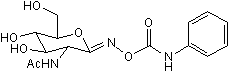 O-GlcNAcase and &#946;-hexosaminidase inhibitor