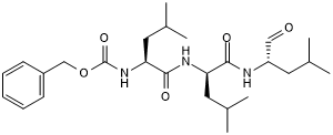 Potent 20S proteasome inhibitor