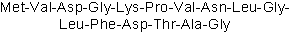 Control peptide version of Rac1 Inhibitor W56 (Cat. No. 2221)