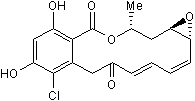 Hsp90 inhibitor. Antifungal antibiotic