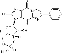 Protein kinase G inhibitor