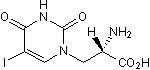 Highly potent and subtype-selective kainate agonist