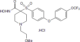 Potent MMP inhibitor