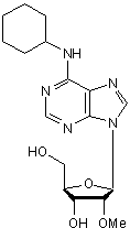 Potent and selective A1 agonist