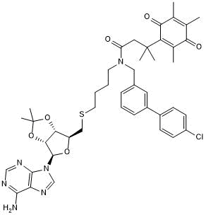 Negative control for SGC 3027 (Cat. No. 6825)