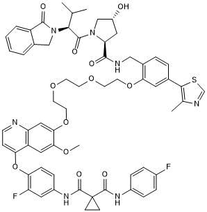 Potent and selective p38&#948; PROTAC&reg;