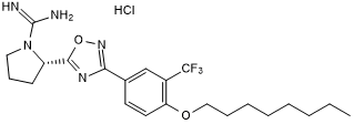 Selective sphingosine kinase 2 (Sphk2) inhibitor