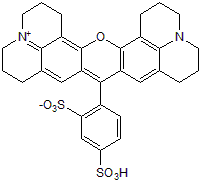 Red fluorescent dye; selective astrocyte marker