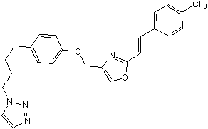 Potent and selective ErbB2 inhibitor