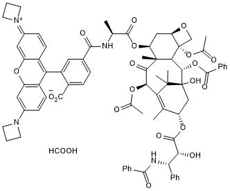 Yellow fluorescent taxol derivative; probe for microtubule staining