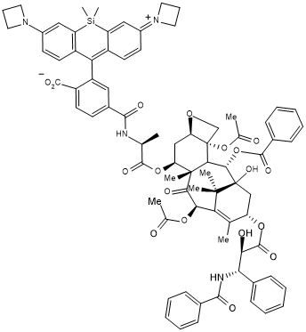 Red fluorescent taxol derivative; probe for microtubule staining; protocol available