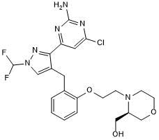 Soluble adenylyl cyclase inhibitor