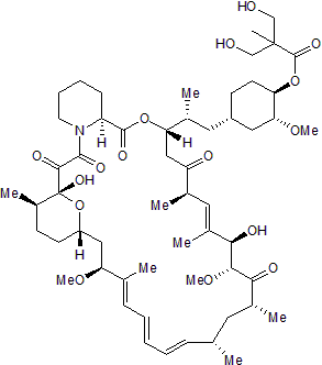 mTOR inhibitor; antitumor