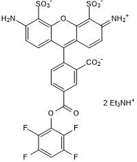 Green fluorescent dye; amine reactive