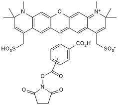 Red fluorescent dye; amine reactive