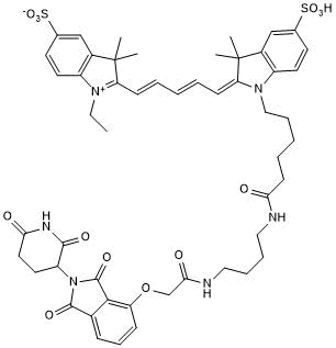 High affinity cereblon fluorescent probe