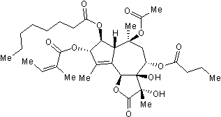 Potent inhibitor of SERCA ATPase